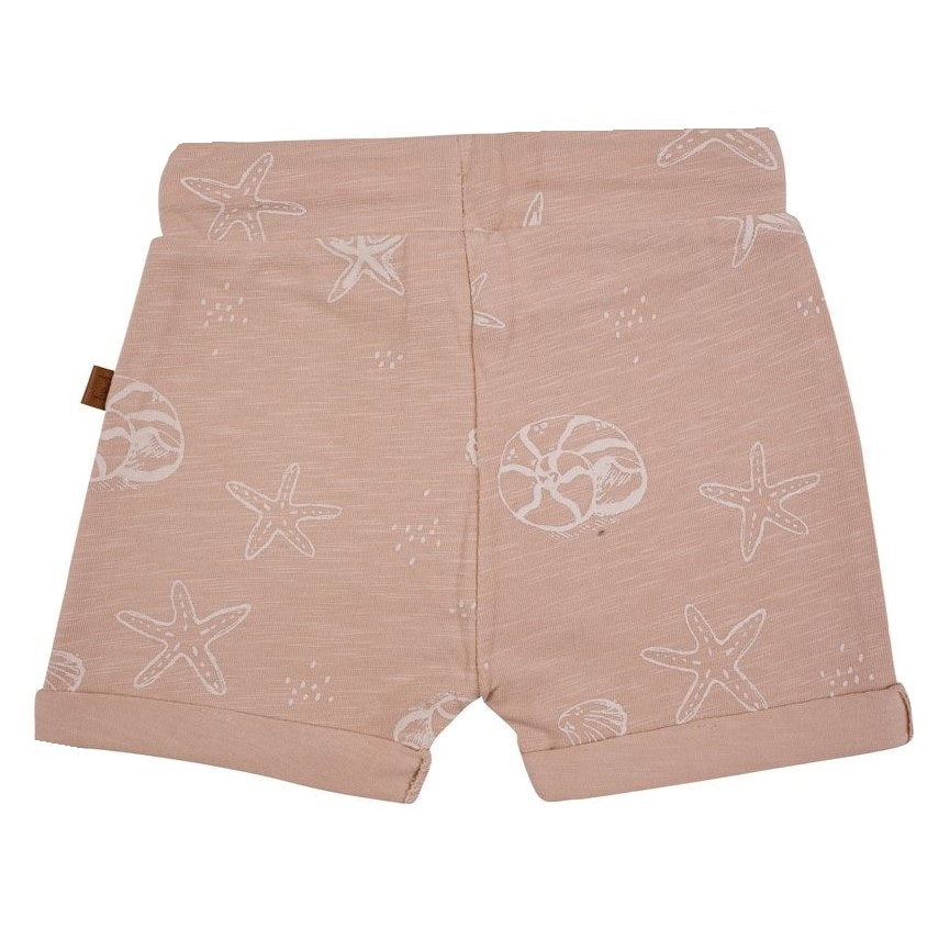 Shell Short AOP | Terracotta