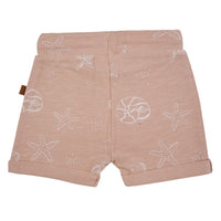 Shell Shorts AOP | Terracotta