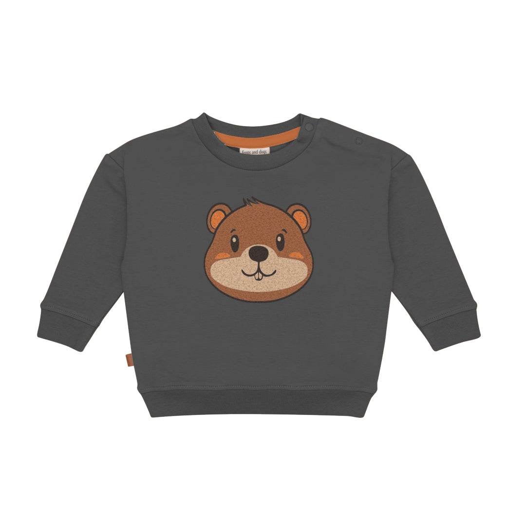 Sweater Beaver | Dark Gull Gray