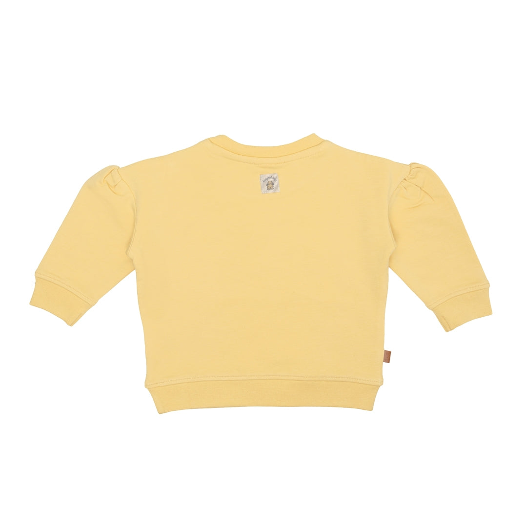 Sweater Bee Flight | Sahara Sun