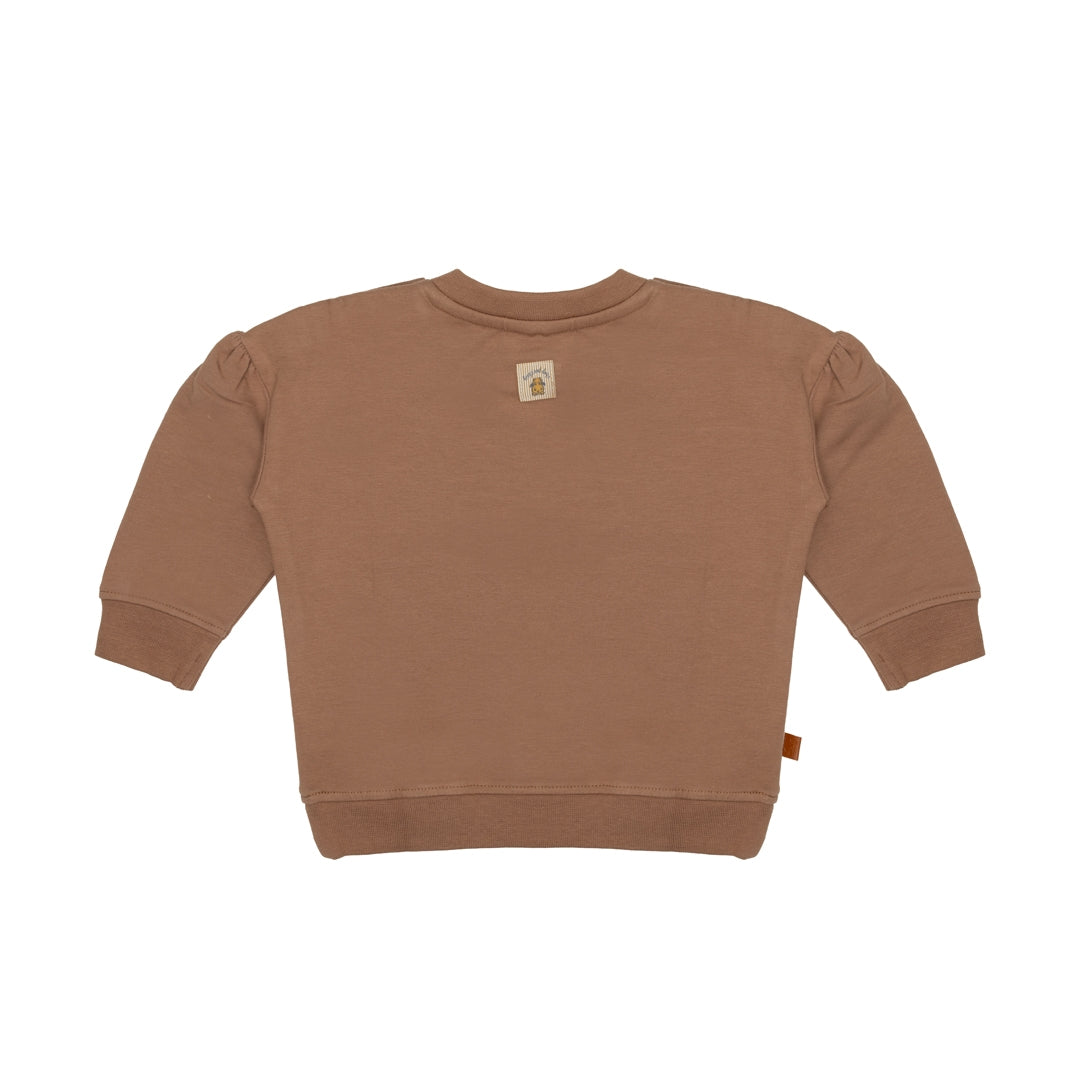 Sweater Bee | Brownie