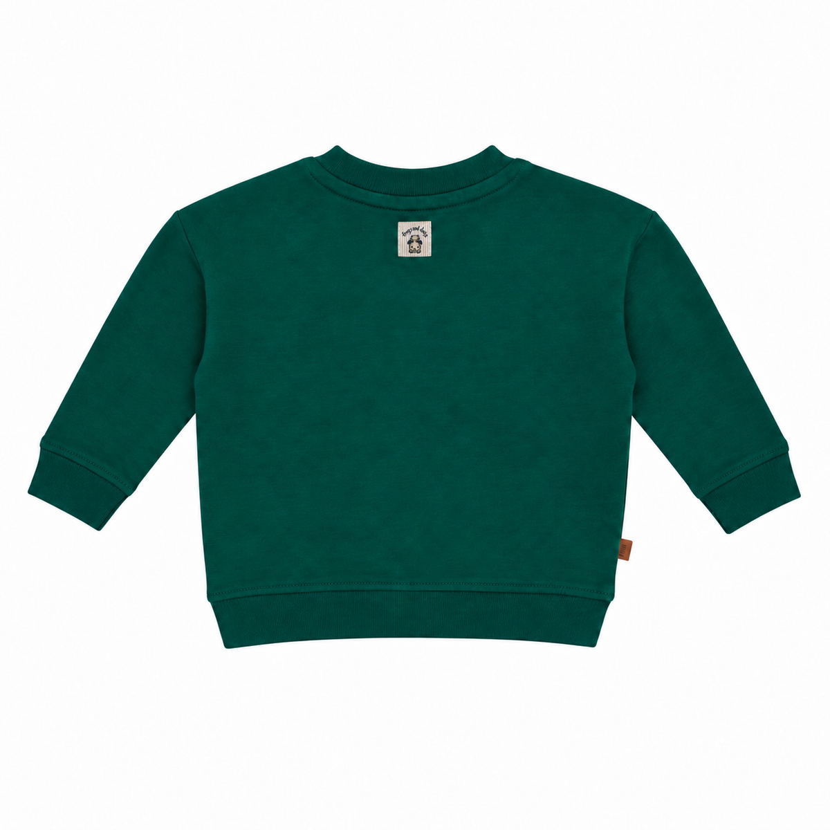 Sweater Christmas Teddy Bear | Jasper