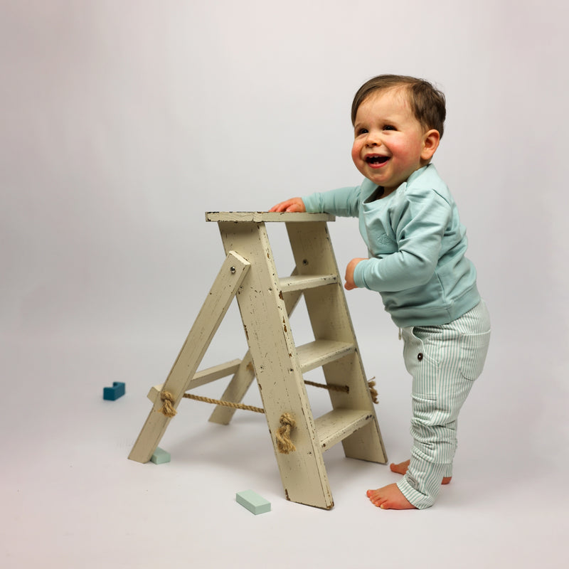 Dino Buddy Trui Effen | Cloud Blue
